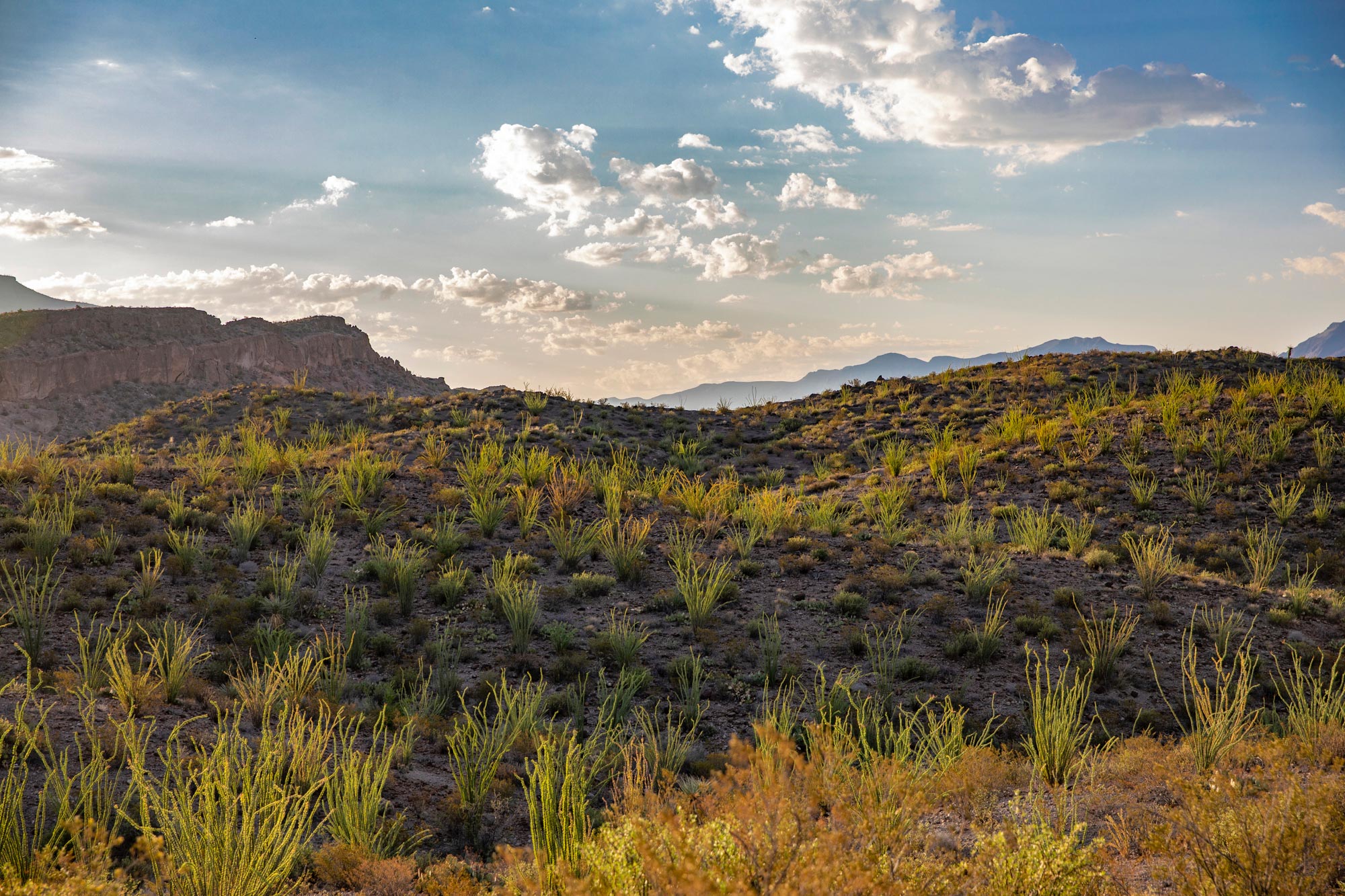 Big Bend Ranch State Park 