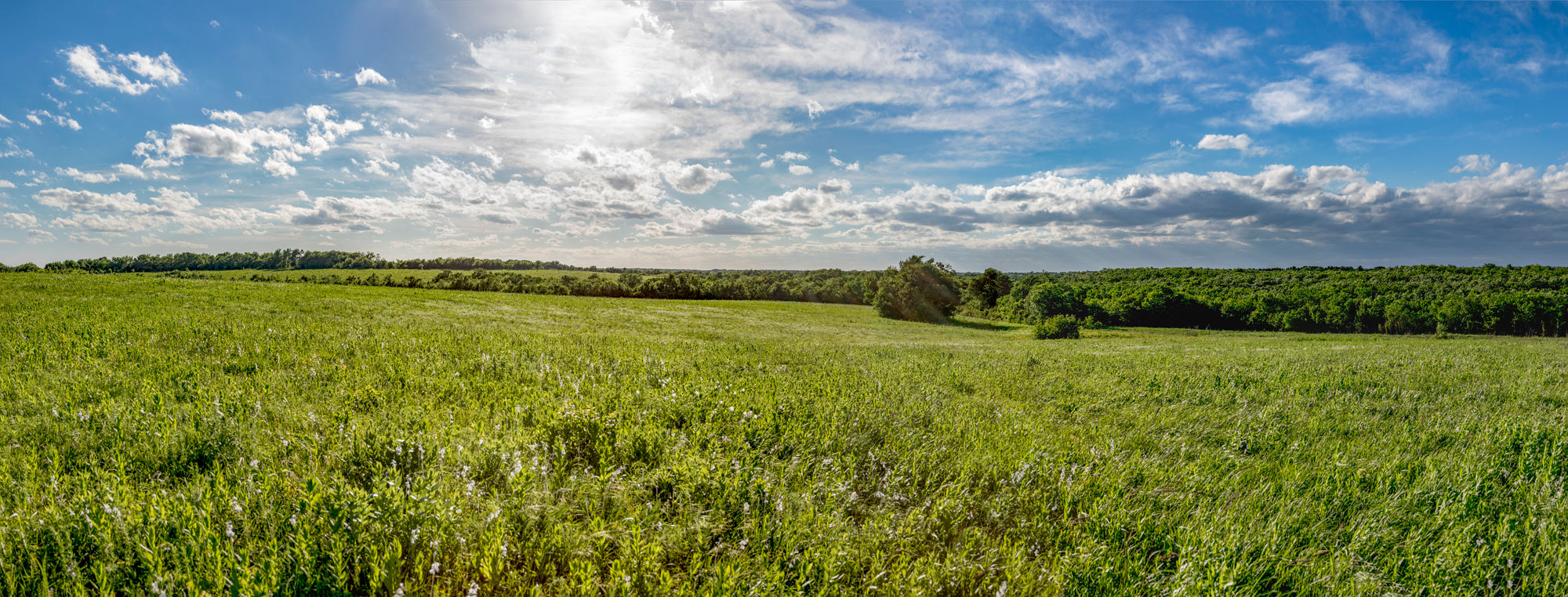 Clymer Meadow Preserve - Texas Tallgrass Prairie