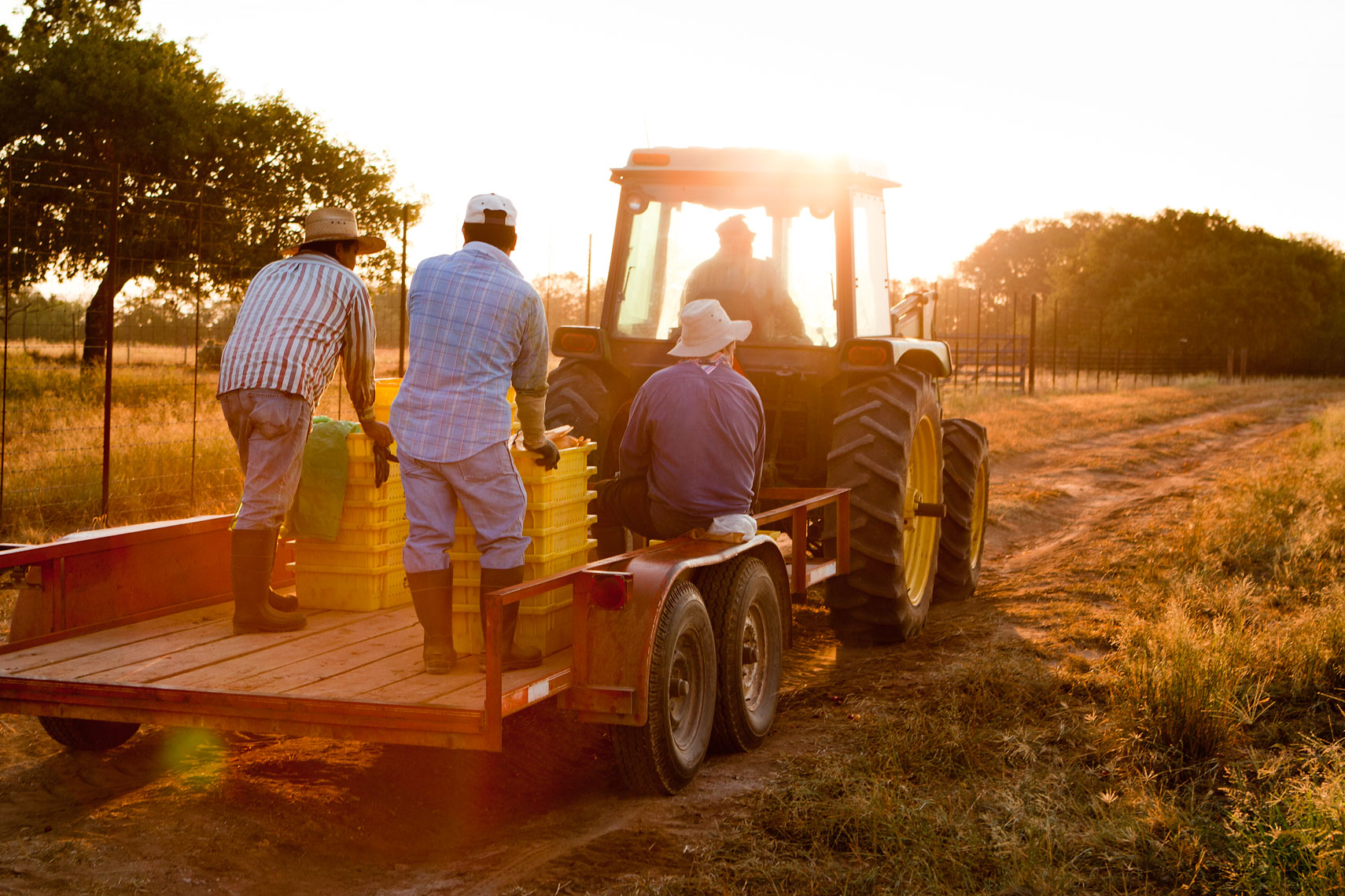 farm-workers