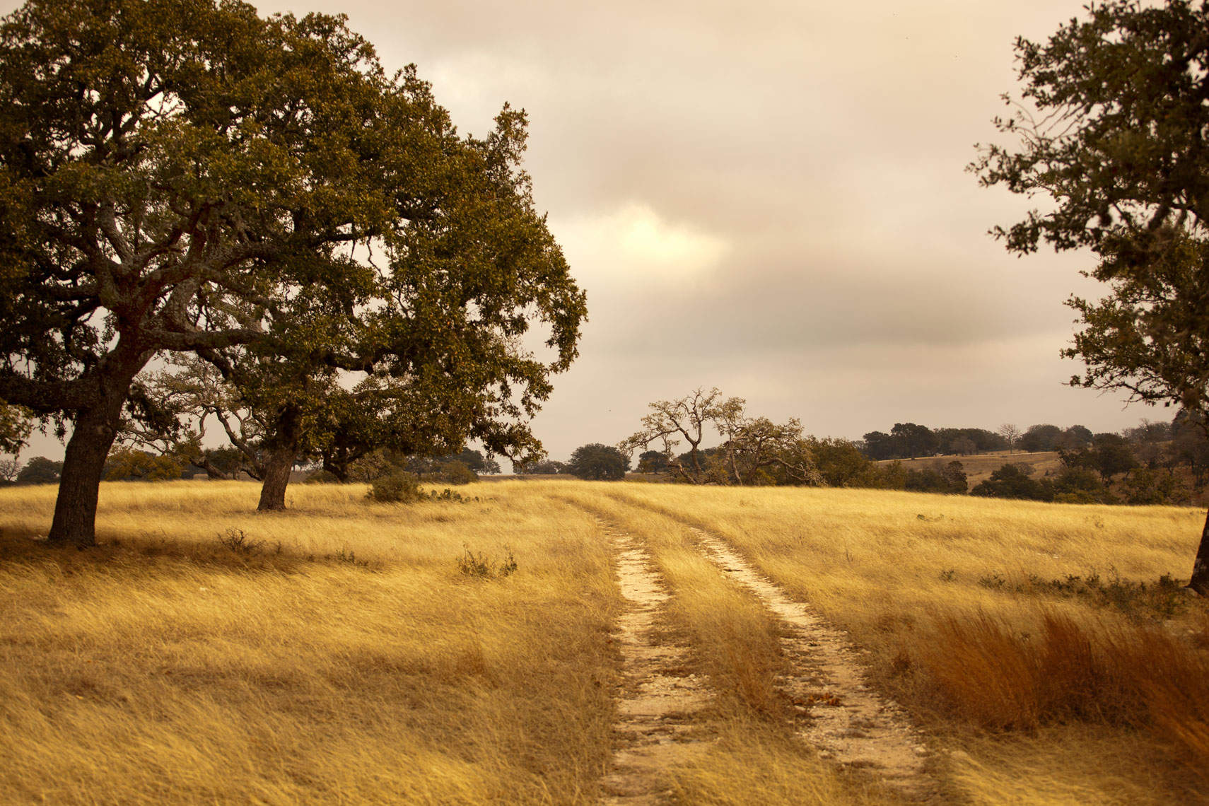 Hill Country