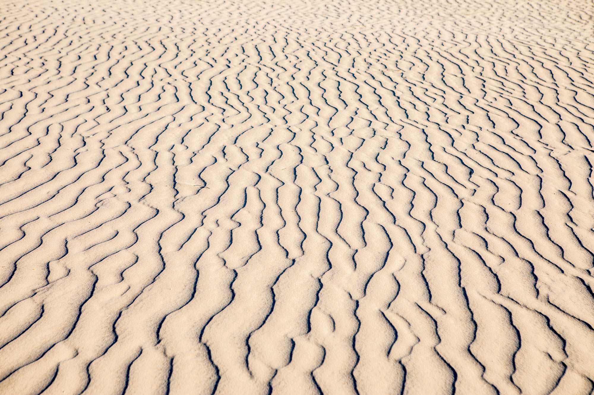 Sand Ripples - Guadalupe Mountains State Park