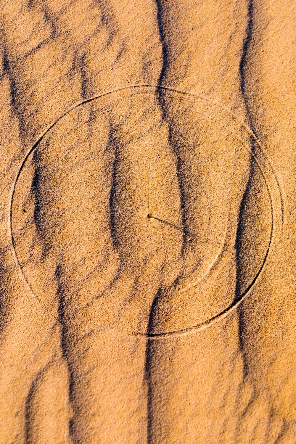 Scratch Circle - sand dunes - Guadalupe Mountains State Park