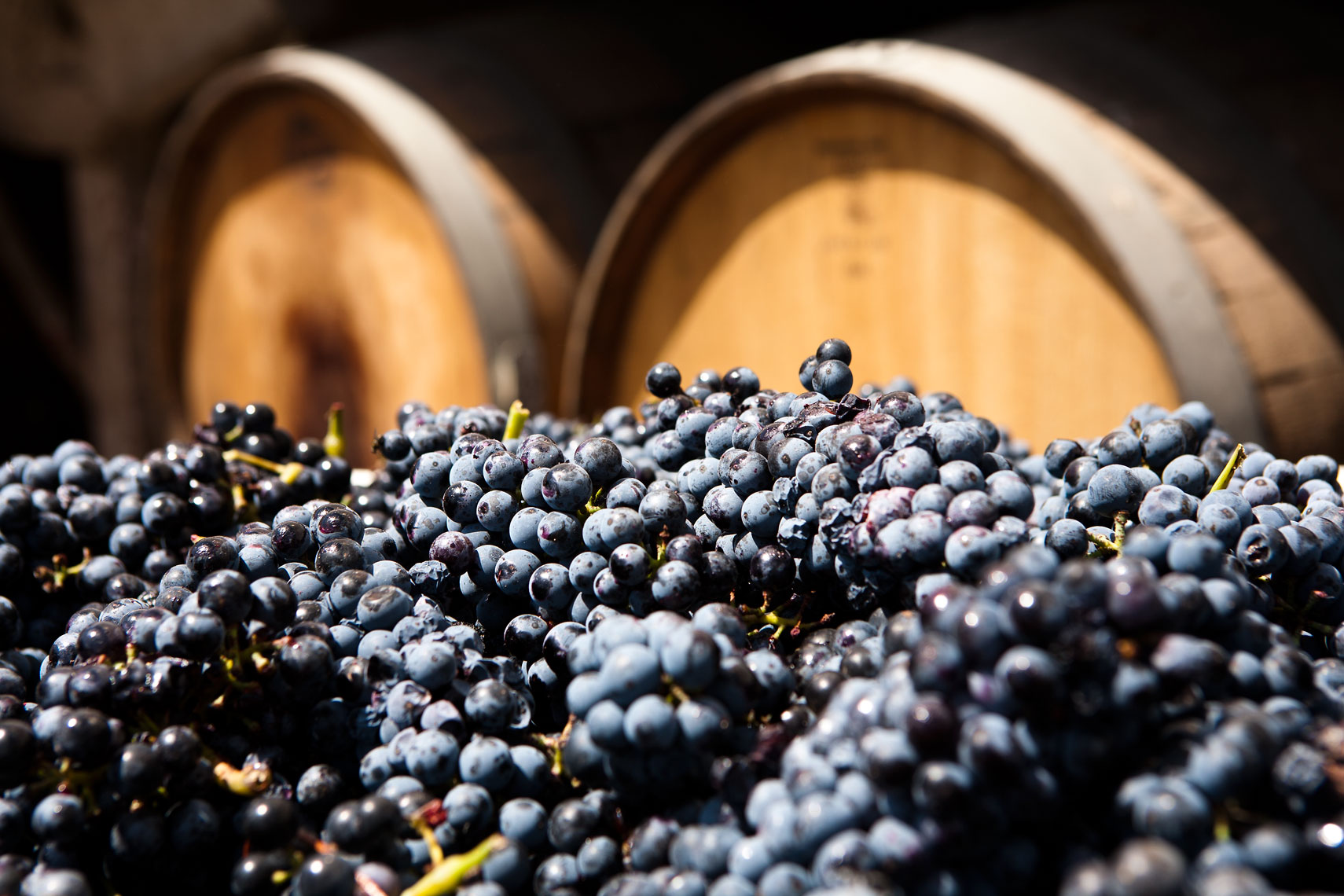 Grapes