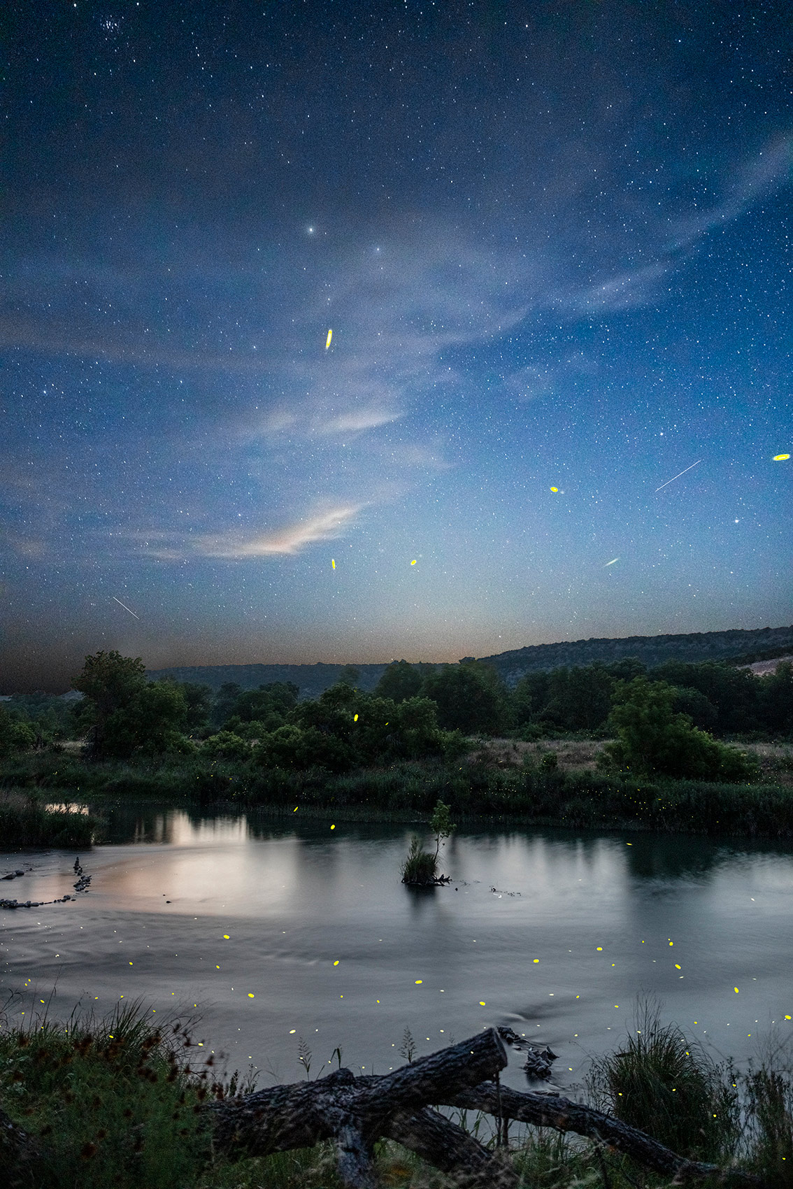 Fireflies and Stars in South Llano River State Park