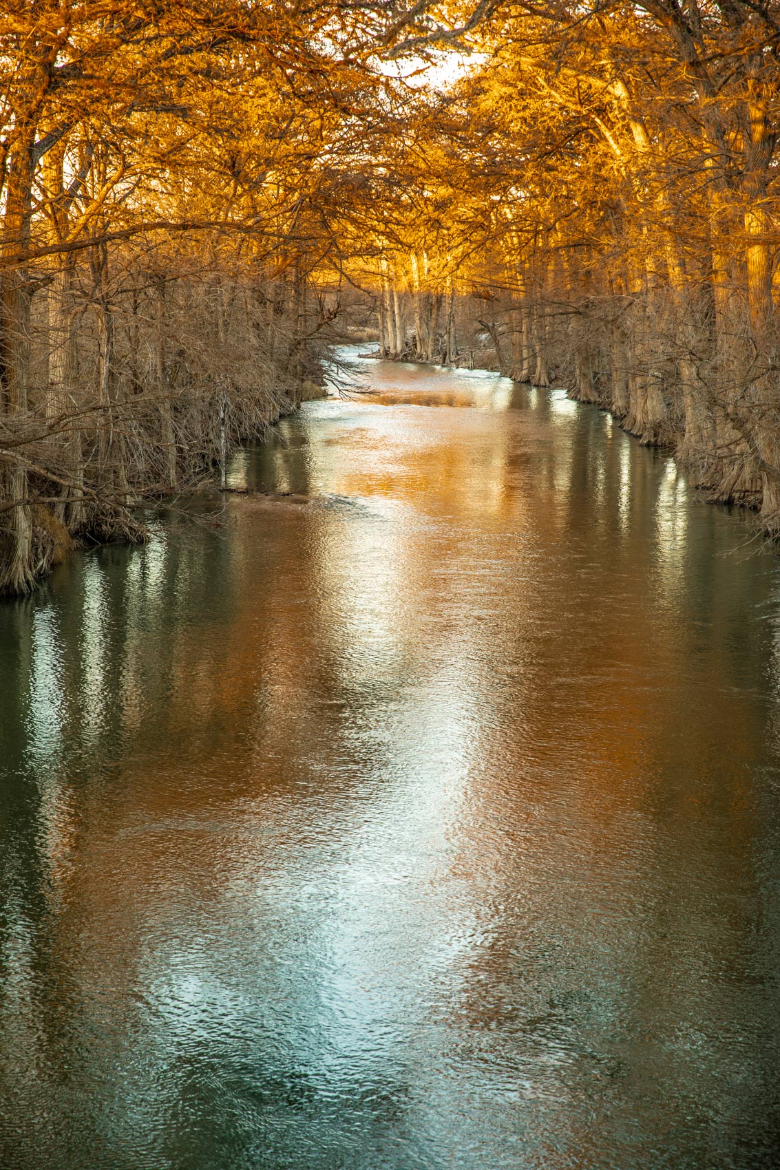 James Kiehl River Bend Park on the Guadalupe River