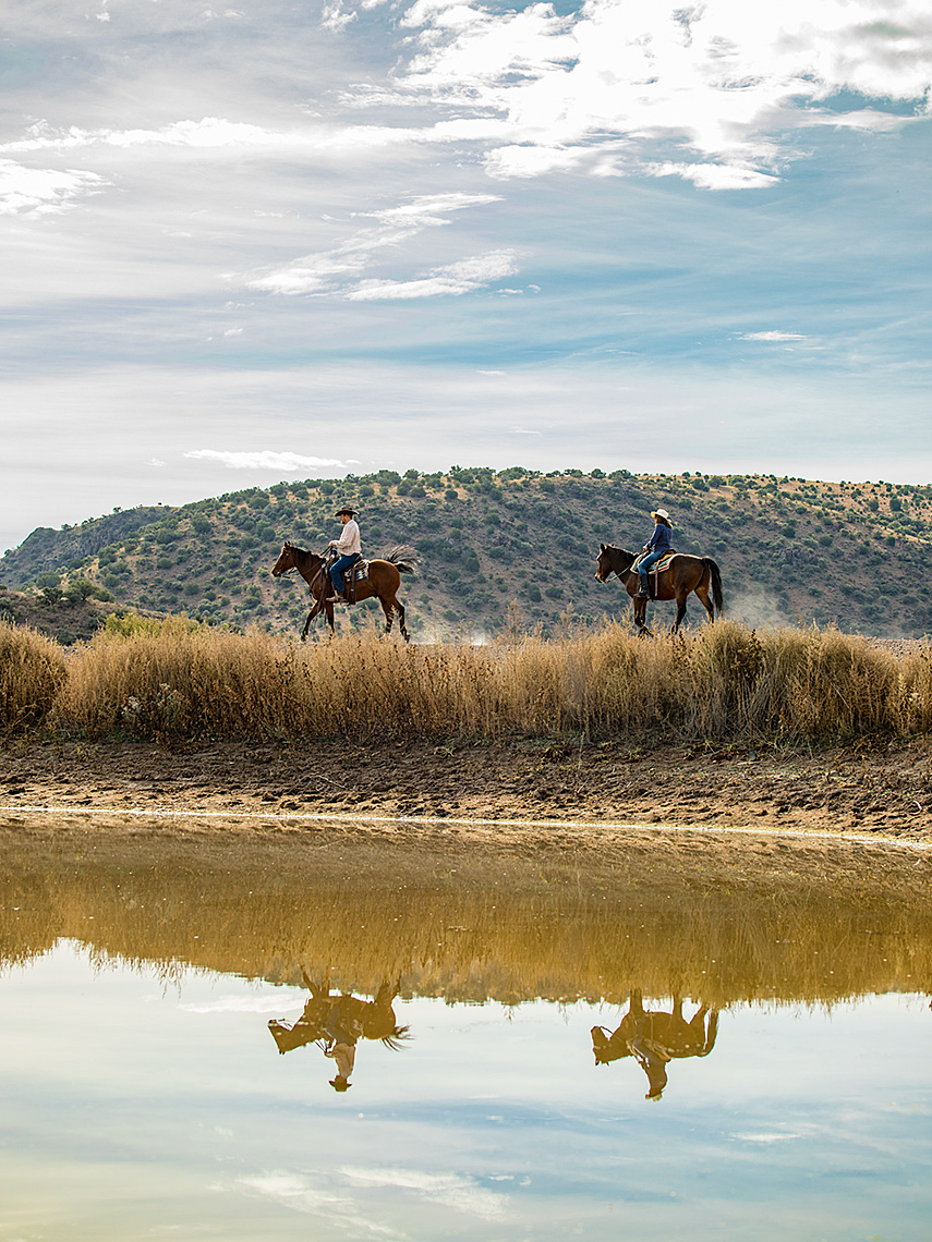 Riders on horseback in Davis Mountains