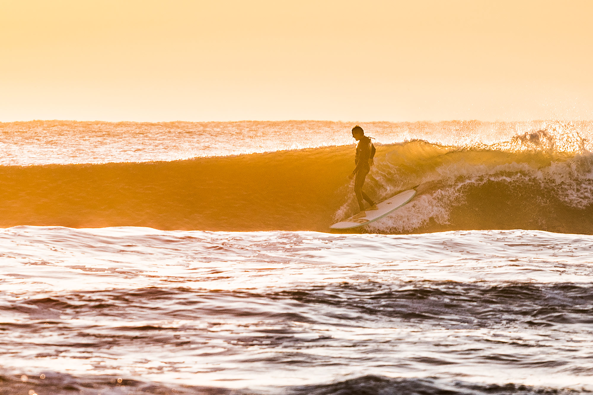 Texas surfer on a wave at sunrise on longboard