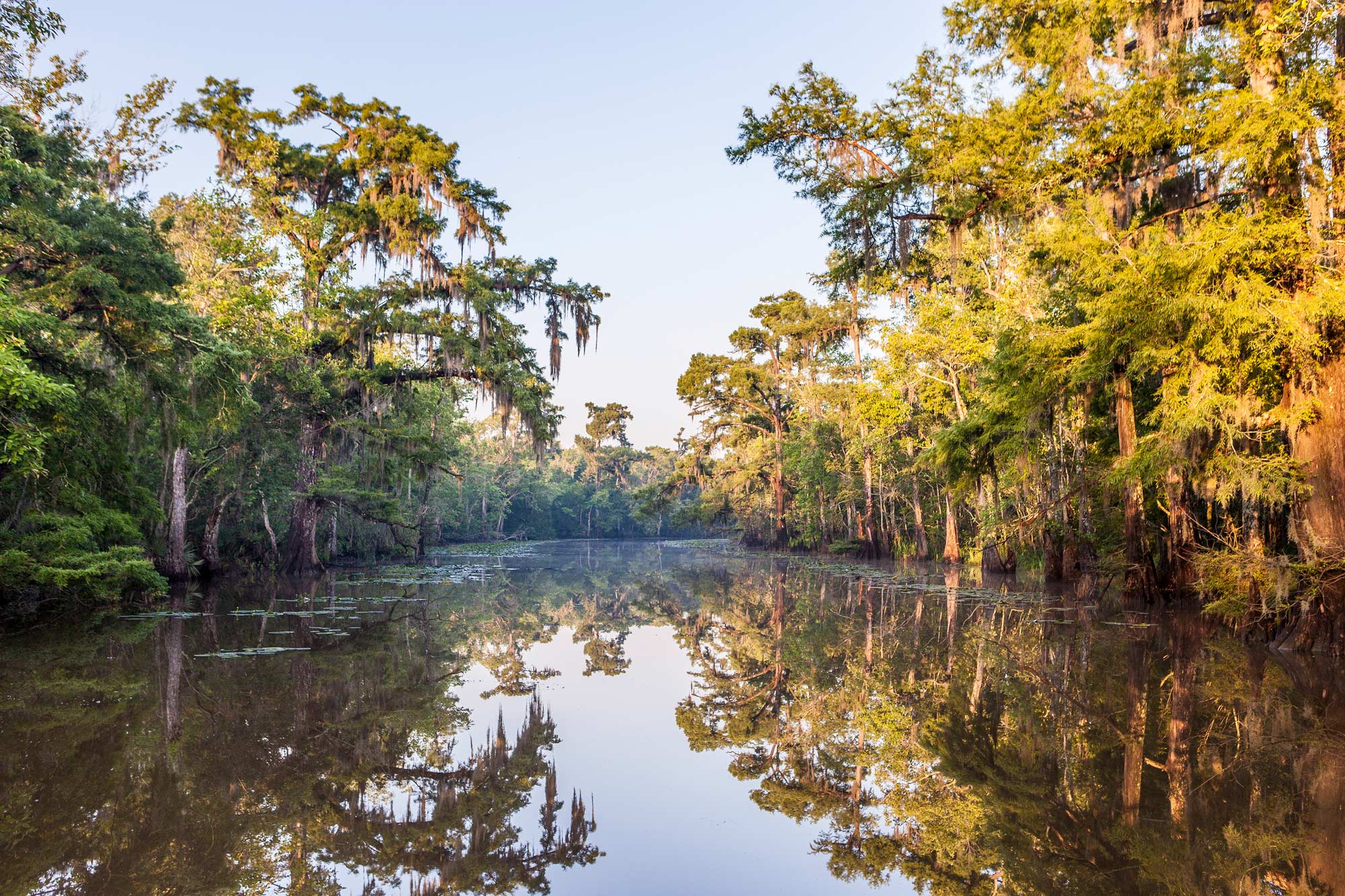 Swamp - Sabine River