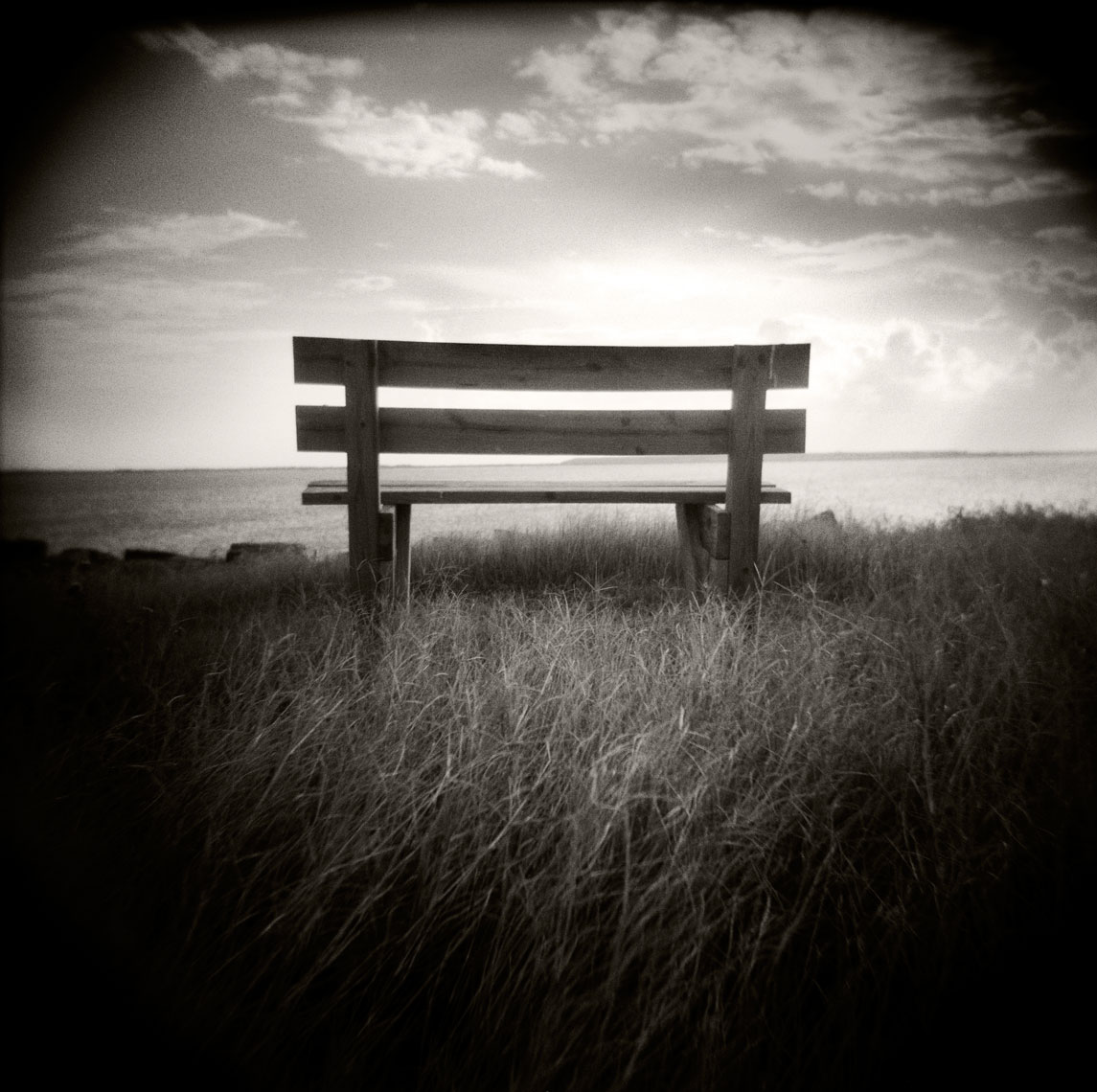Park Bench