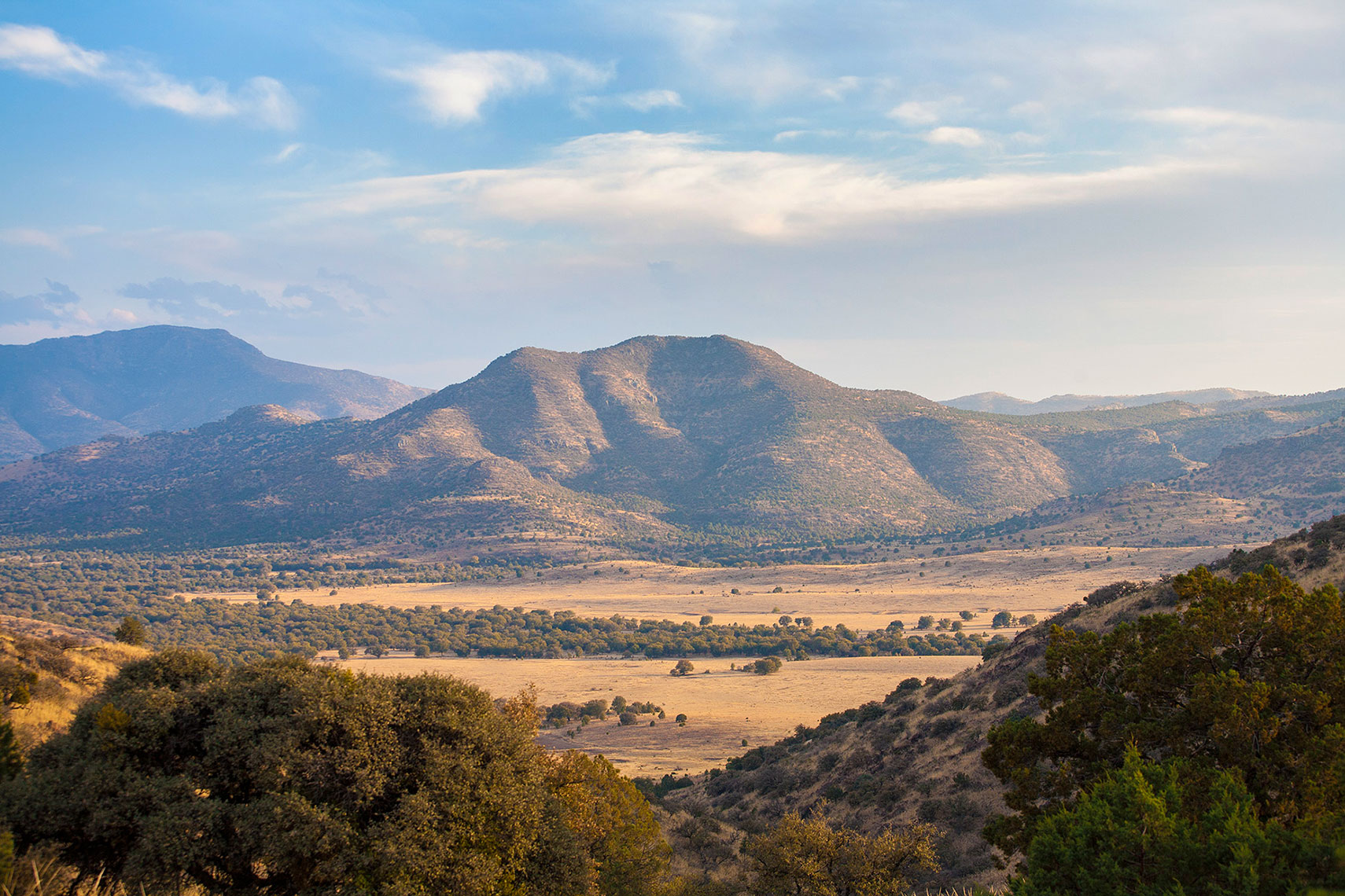 Davis Mountains landscape