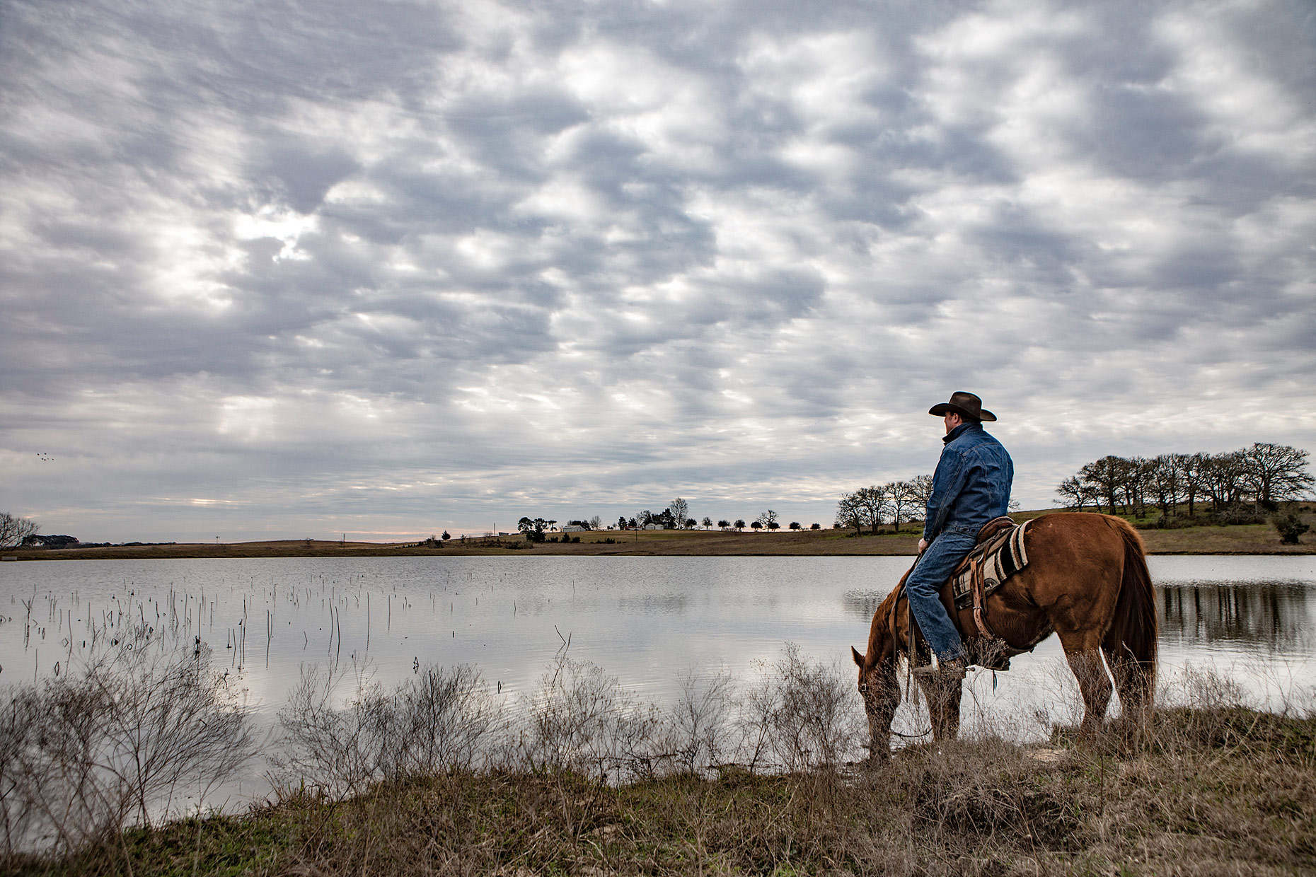 Cowboy on horseback at lake